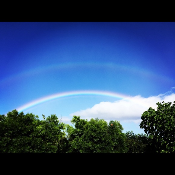 Meet your Posher, Sara. - Picture 7 of 8